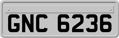 GNC6236
