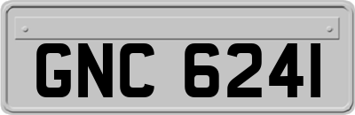 GNC6241