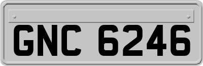 GNC6246