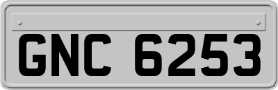 GNC6253