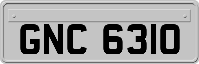 GNC6310