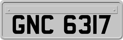 GNC6317