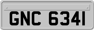 GNC6341