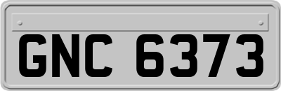 GNC6373