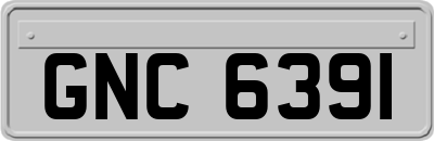 GNC6391