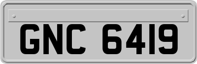 GNC6419