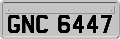 GNC6447
