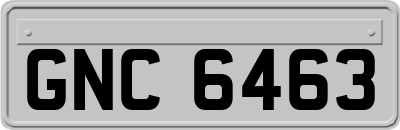 GNC6463