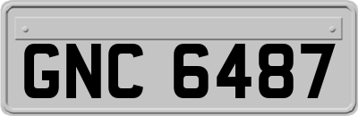 GNC6487