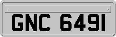 GNC6491
