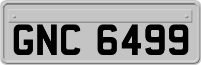 GNC6499