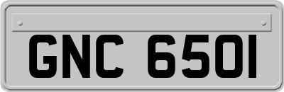 GNC6501