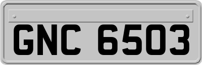 GNC6503