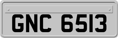 GNC6513