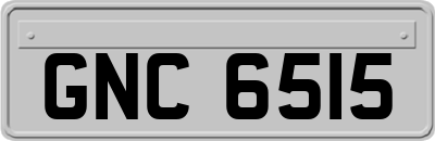 GNC6515