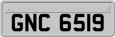 GNC6519