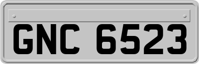 GNC6523