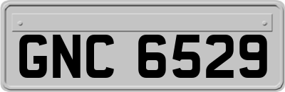 GNC6529