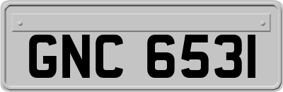 GNC6531