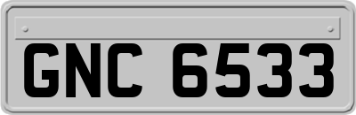 GNC6533