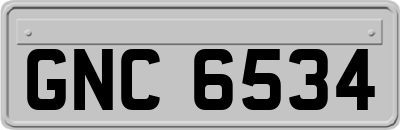 GNC6534