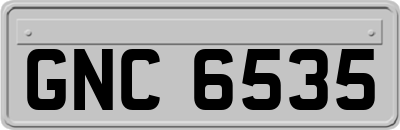 GNC6535