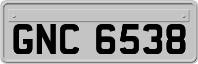 GNC6538