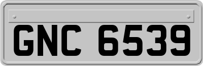 GNC6539