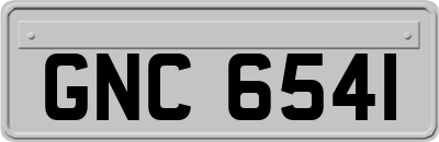 GNC6541