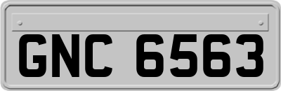 GNC6563