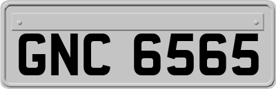 GNC6565