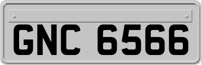 GNC6566