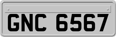 GNC6567