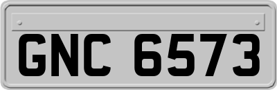 GNC6573