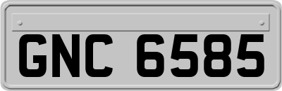 GNC6585