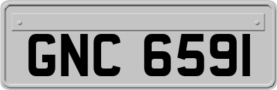 GNC6591