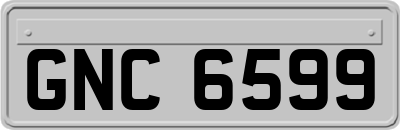 GNC6599
