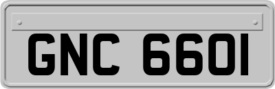 GNC6601