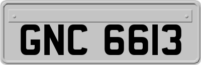 GNC6613