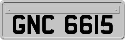 GNC6615
