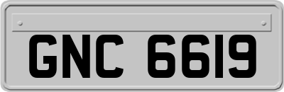 GNC6619