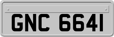 GNC6641