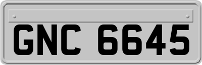 GNC6645