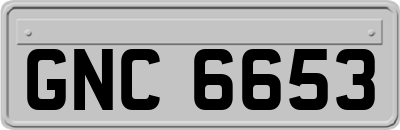 GNC6653