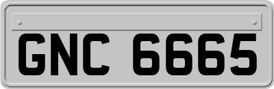 GNC6665