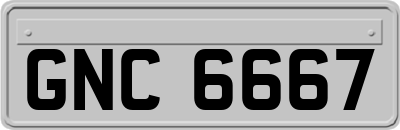 GNC6667