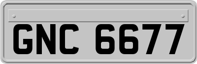 GNC6677