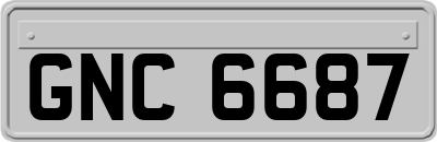 GNC6687
