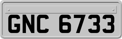 GNC6733