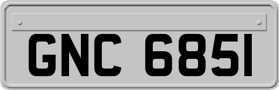 GNC6851